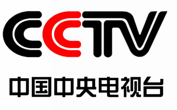 CCTV央视文字专访